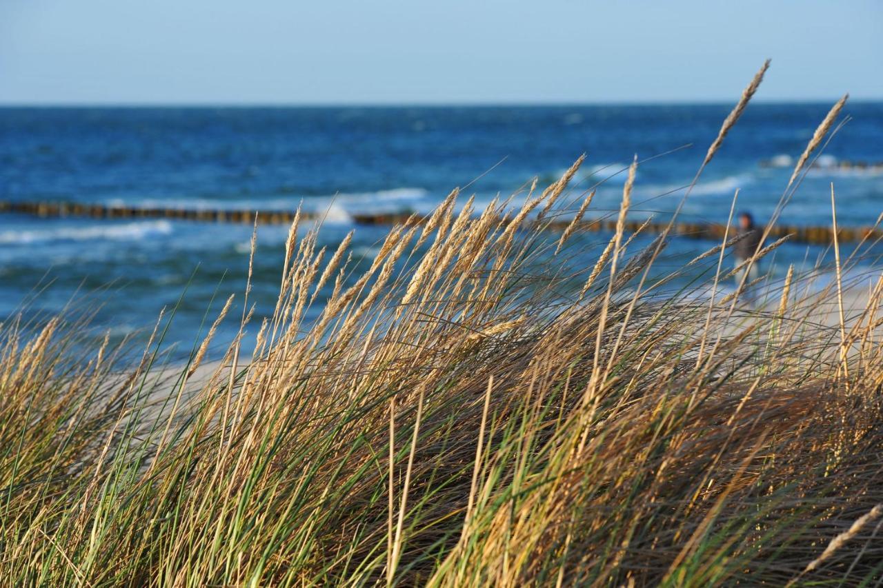 Seestr_54 Nr_304 Zingst Luaran gambar
