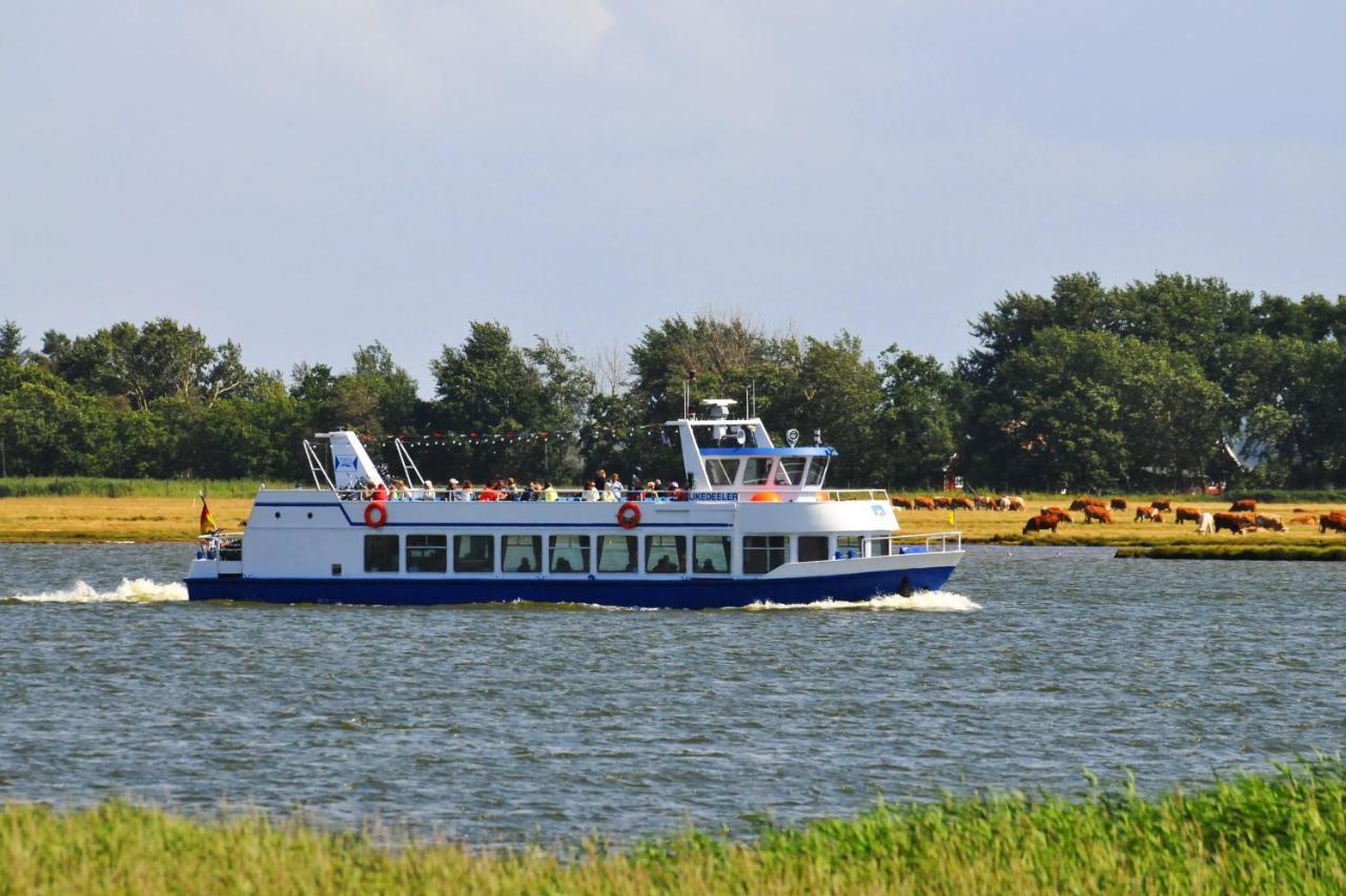 Seestr_54 Nr_304 Zingst Luaran gambar