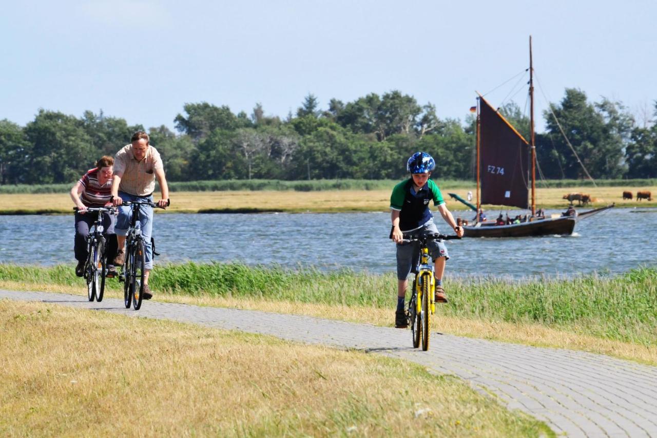 Seestr_54 Nr_304 Zingst Luaran gambar