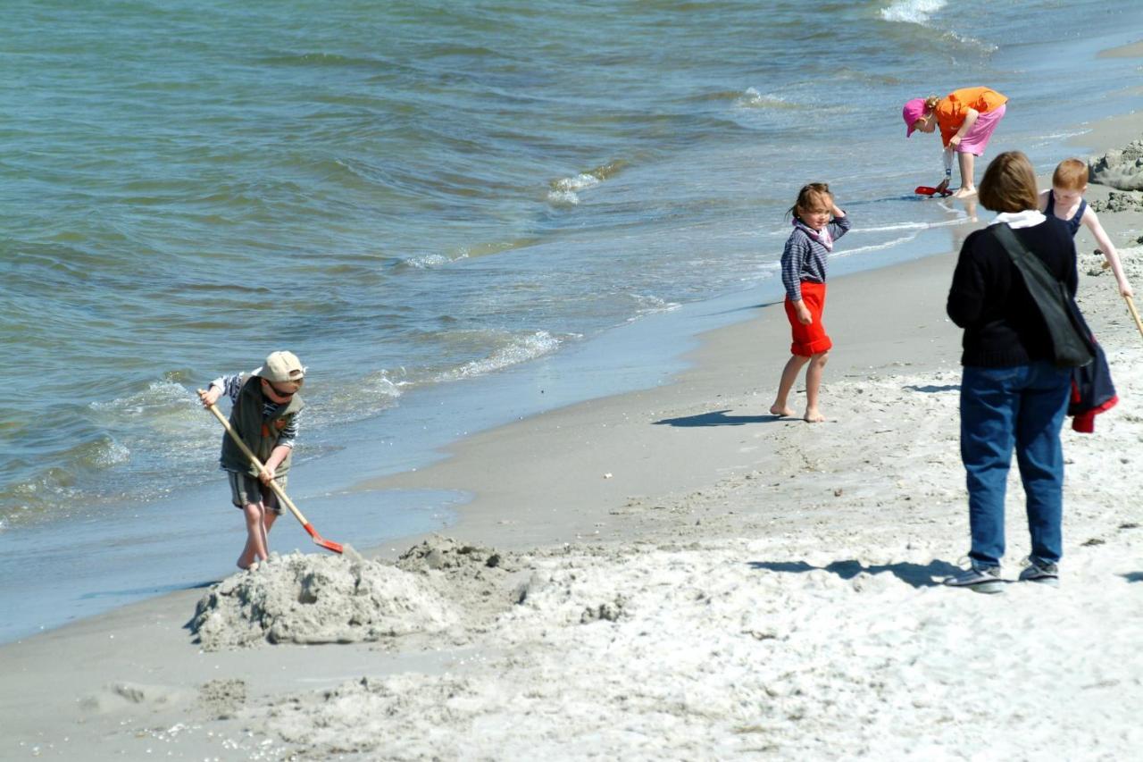 Seestr_54 Nr_304 Zingst Luaran gambar
