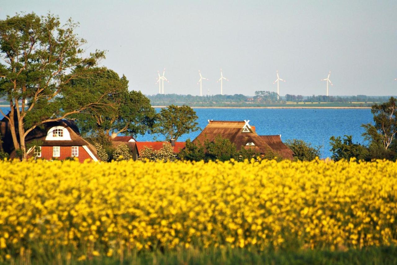 Seestr_54 Nr_304 Zingst Luaran gambar